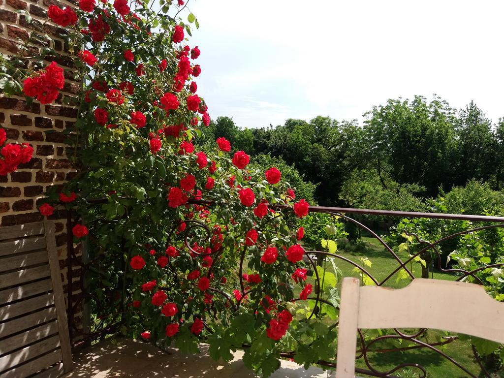 B&B De Kersentuin Borgloon Εξωτερικό φωτογραφία